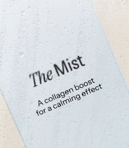 The Mist